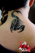 女生颈部经典的图腾蝎子纹身图案