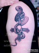手臂时尚经典的蛇与十字架纹身图案