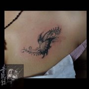 女生胸部时尚唯美的蝴蝶纹身图案