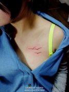 女生胸部小巧的海鸥纹身图案