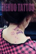 女生脖子处时尚漂亮的蝴蝶纹身图案