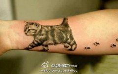 女生手臂小巧可爱的猫咪纹身图案