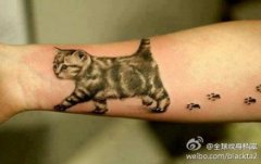 手臂可爱小巧的猫咪纹身图案