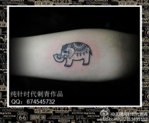 女生腰部可爱流行的小象纹身图案