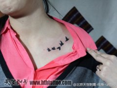 女生锁骨处流行的小鸟纹身图案