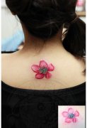 美女后背漂亮好看的彩色桃花纹身图案