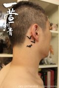 耳部小巧潮流额图腾蝙蝠纹身图案