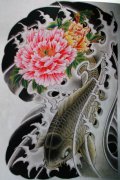 来自中国经典的传统半胛喜庆鲤鱼牡丹纹身手稿图案分享