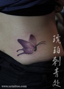 美女腰部漂亮精美的蝴蝶纹身图案
