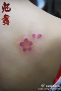 女生后肩背潮流小巧的樱花纹身图案