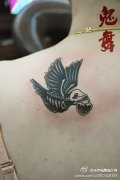 女生肩背小巧经典的骨架鸟纹身图案