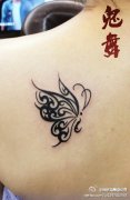 女孩子肩背小巧潮流的图腾蝴蝶纹身图案