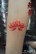 女生手臂小巧潮流的点刺图腾莲花纹身图案