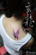 女生后肩背小巧潮流的蝴蝶纹身图案