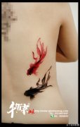 女生后背漂亮时尚的水墨小金鱼纹身图案