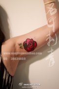 女生手臂内侧一款小巧唯美的小玫瑰纹身图案
