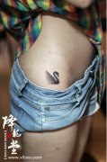 女孩子胯部小天鹅纹身图案