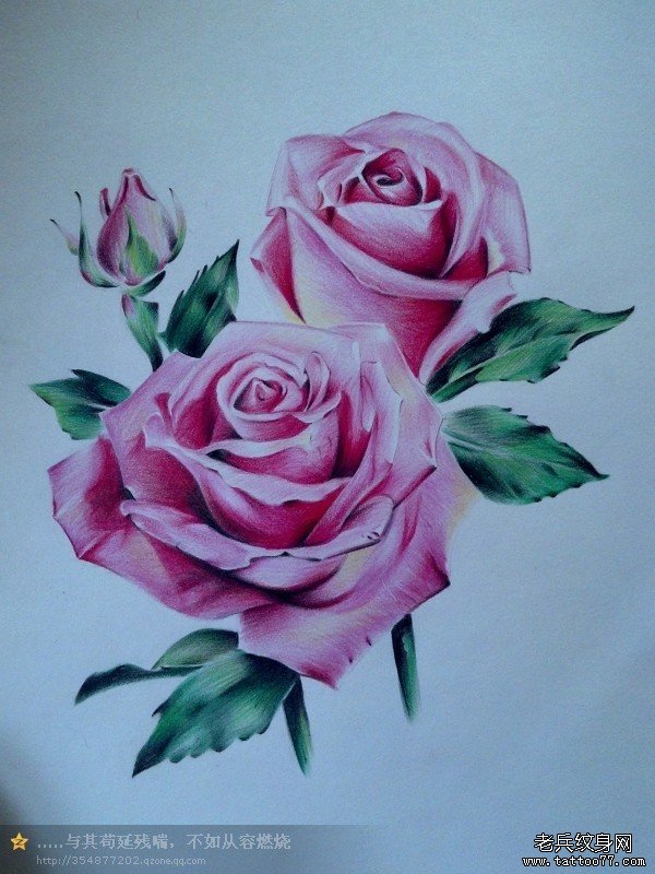 一张非常漂亮的一款玫瑰花纹身手稿