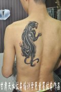 后背黑豹纹身图案由甘肃纹身学员董星打造