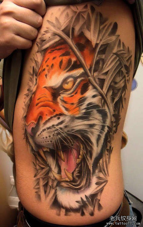 侧腰上的一款老虎纹身作品