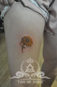 女生腿部彩色小向日葵花纹身图案