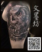 武汉专业纹身店为你推荐一款时尚个性的写实猫头鹰纹身图案