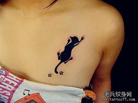 小清新猫咪纹身图案由武汉纹身推荐