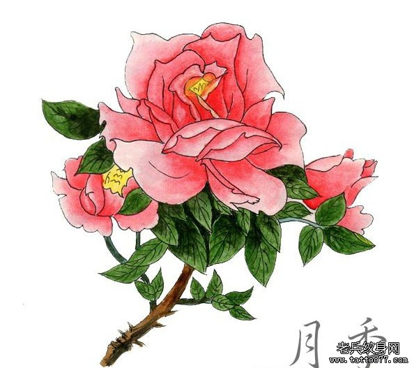 花纹身手稿图案由武汉纹身网推荐