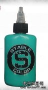 进口纹身色料 STABLE COLOR 纹身色料 纹身器材 薄荷绿