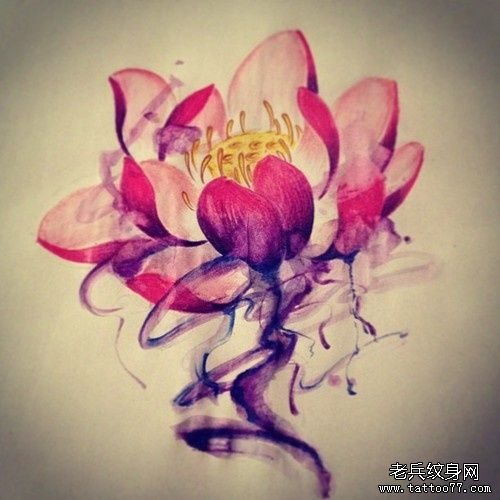 武汉纹身店推荐一款彩色莲花纹身手稿图案