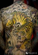 武汉纹身店推荐一款组老虎纹身图案