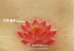 小清新腰部莲花纹身图案
