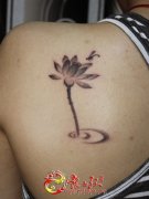 小清新背部莲花蜻蜓纹身图案