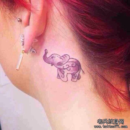 女性耳后萌象纹身图案由武汉最好的纹身店推荐