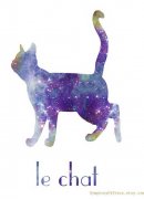 一款星空猫咪纹身手稿图案由武汉纹身店推荐