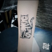 一款手臂猫咪纹身图案由武汉纹身店推荐