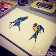 彩色燕子纹身手稿图片由武汉纹身店提供