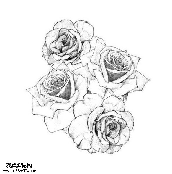 玫瑰花纹身手稿图案