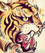 彩色老虎头纹身手稿图案由武汉刺青店提供