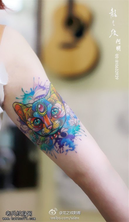 女性泼墨猫咪纹身图案