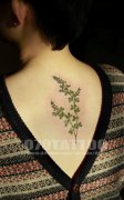 小清新背部花草纹身图案