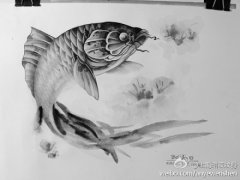 武汉最好的刺青店提供一款水墨鱼纹身手稿图案