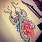 彩色章鱼玫瑰花纹身手稿图案