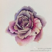 武汉最好的刺青店推荐一款彩色玫瑰花纹身图案