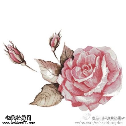 彩色玫瑰花纹身手稿图案