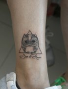 女性腿部萌版猫头鹰纹身图案