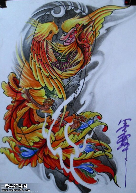 彩色凤凰纹身手稿图案