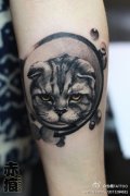 手臂猫咪纹身图案由武汉最好刺青店提供