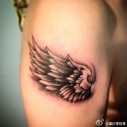 武汉纹身店推荐一款手臂翅膀纹身图片
