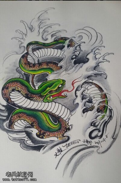 武汉最好的纹身店推荐一款彩色蛇纹身手稿图案